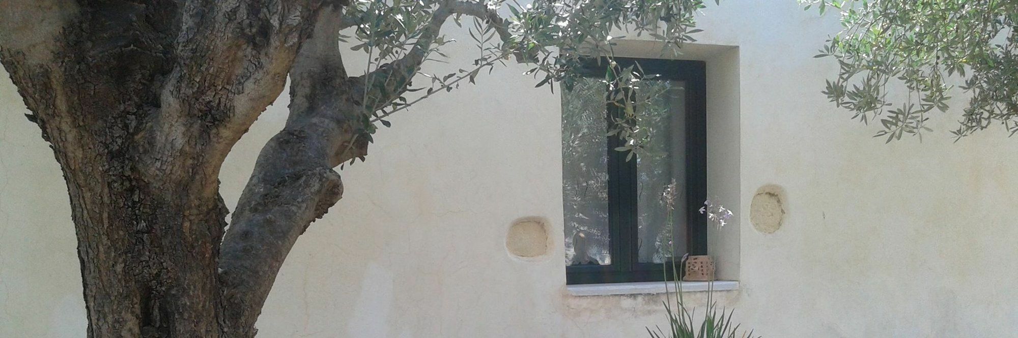 Petra & Elia Villa Megála Horáfia Kültér fotó
